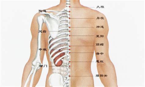 背有痣男|后背上的痣图解大全男 后背上的痣图解大全男人